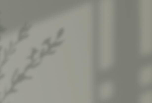 Soft-focus PhysioZen wellness studio background